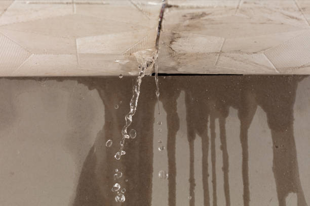 Professional Burst Pipe Cleanup technician working in Lexington, WA